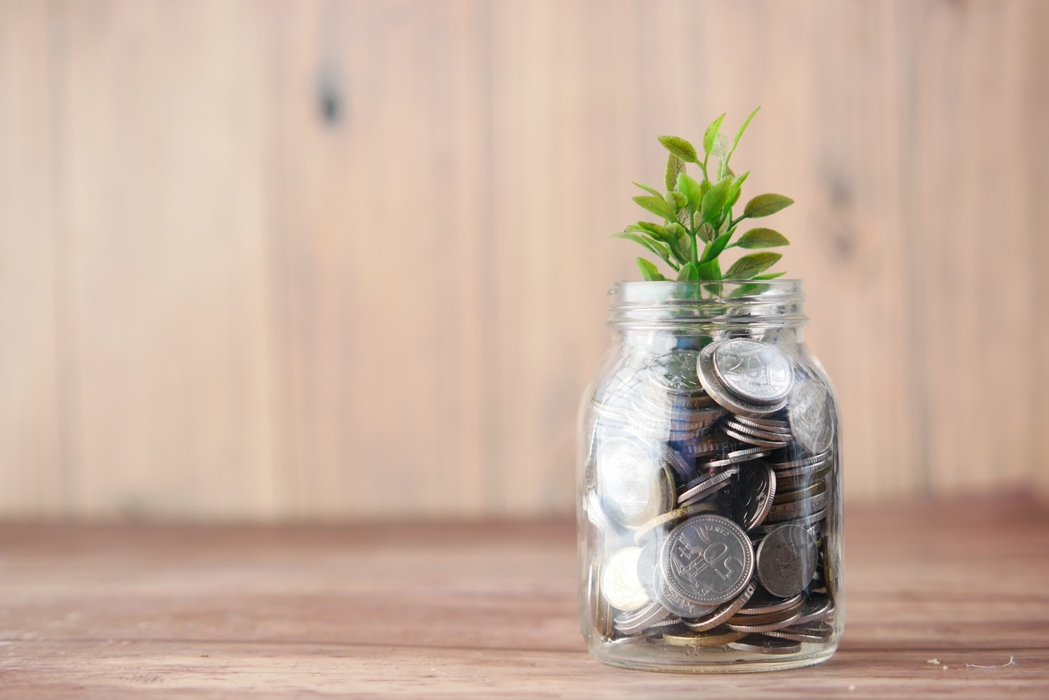 O papel do consumo consciente em sua economia pessoal